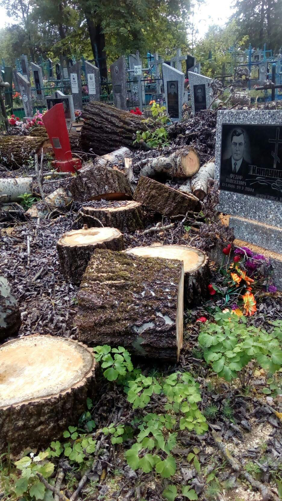 Жители Кричева в ужасе от состояния Вороневского кладбища после работ коммунальников