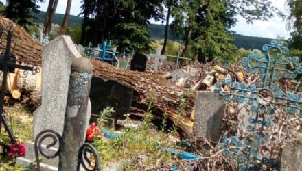 Жители Кричева в ужасе от состояния Вороневского кладбища после работ коммунальников