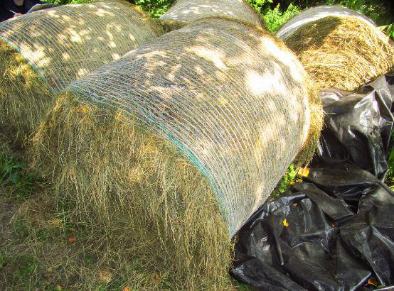 В Костюковичском районе пенсионер обманным путем завладел сеном
