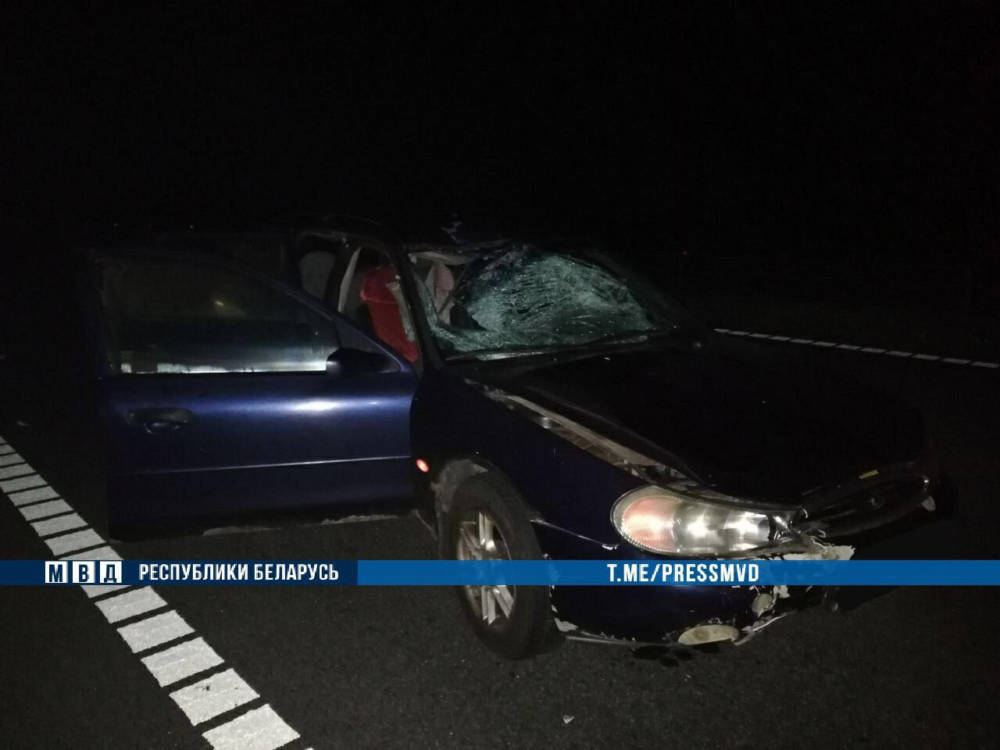 В Осиповичском районе «Ford Mondeo» сбил пешехода