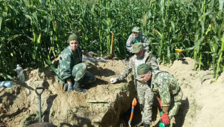 Совместная экспедиция дала свои результаты: в Чаусском районе найдены останки бойцов Красной армии