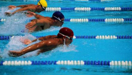 Представители Могилёвщины пробились в финалы на этапе Кубка мира по плаванию