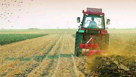 КГК выявил нарушения в организации полевых работ в Могилёвской области