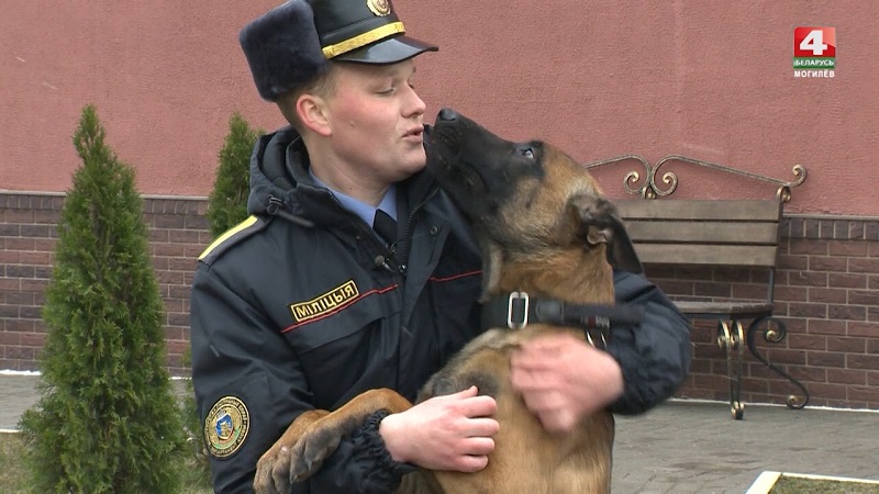 Служебные собаки помогли раскрыть 90 преступлений в этом году на Могилёвщине (видео)