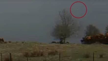 Видео дня: в Англии гигантское лох-несское чудовище сняли на камеру