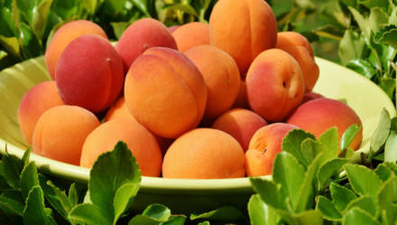 Лучший летний фрукт: все о пользе персиков